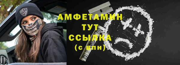 PSILOCYBIN Бородино