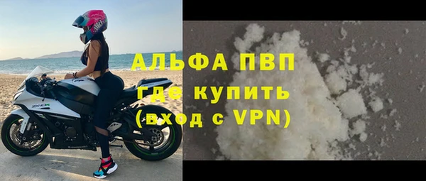 PSILOCYBIN Бородино