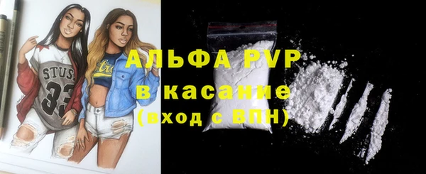 PSILOCYBIN Бородино