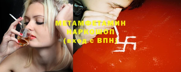 PSILOCYBIN Бородино