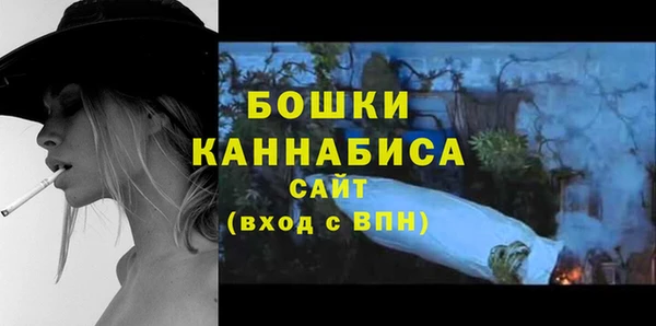 PSILOCYBIN Бородино
