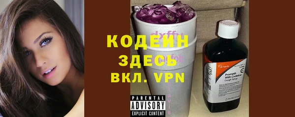PSILOCYBIN Бородино