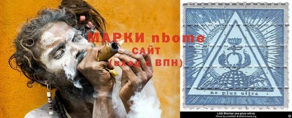 PSILOCYBIN Бородино