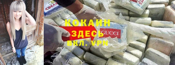 PSILOCYBIN Бородино
